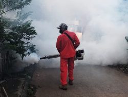 Antisipasi Melonjaknya Kasus DBD di Kota Pasuruan, Dinkes Tak Anjurkan Cara Fogging
