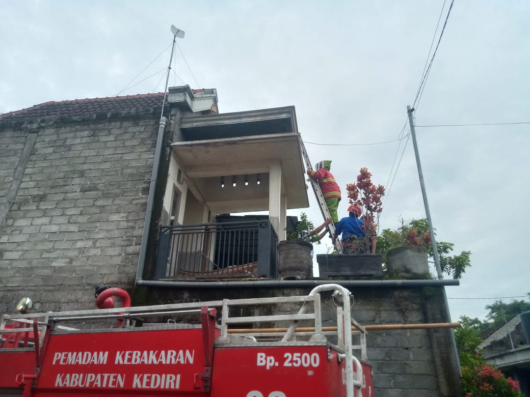 Petugas pemadapam kebakaran Kediri evakuasi sarang tawon yang barada di rumah warga Desa Tanjung, Kecamatan Pagu Kediri.