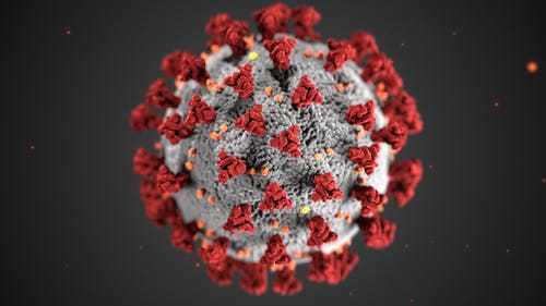 virus NeoCov. (Foto: Pexels/Tugu Jatim)