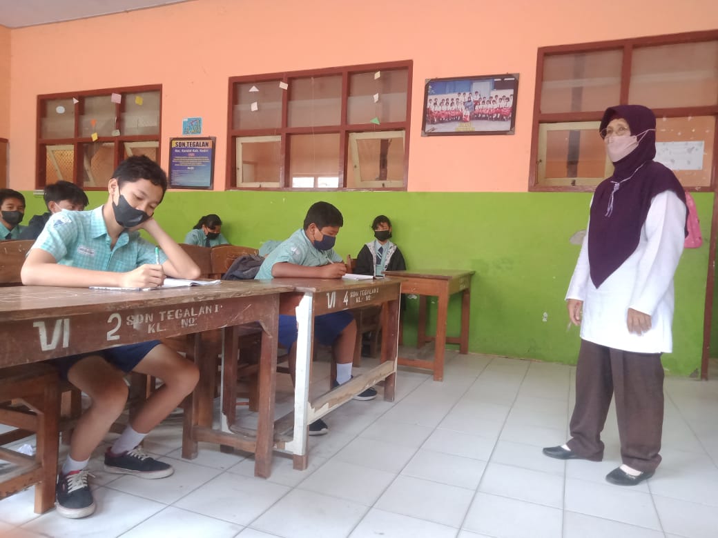 PTM 50 Persen