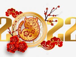 Tahun Baru Imlek 2022 Jadi Tahun Macan Air, Ini 5 Karakter Kepribadian Shio Macan