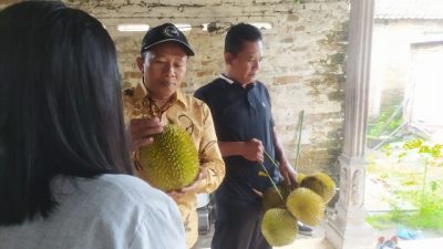 Dari kiri, Krisdwiyati saat menerima hadiah durian dari Agus Suyanto, anggota Komisi 1 DPRD Kabupaten Pasuruan dan Kepala Pasar Wisata Cheng Ho, Wahyu Wibowo.