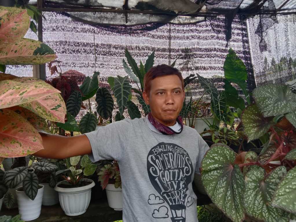 Anggrek bulan. (Foto: Donatus Nur Sungga/Tugu Jatim)