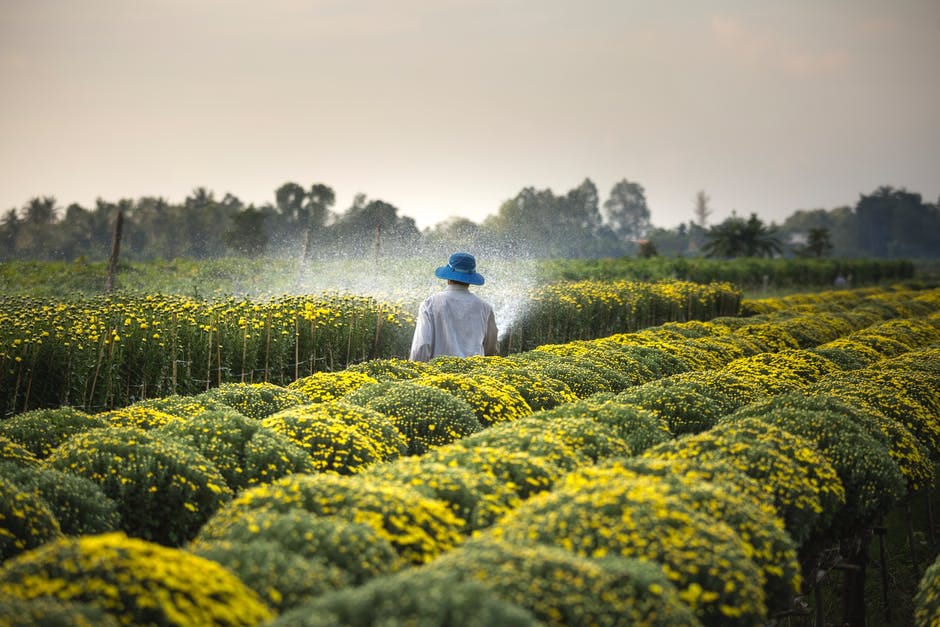 Petani Kediri. (Foto: Pexels/Tugu Jatim)