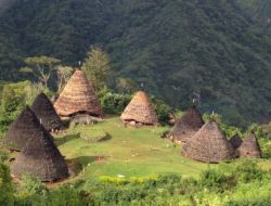 5 Warisan Leluhur Manggarai, Waerebo Ditetapkan UNESCO sebagai Budaya Internasional