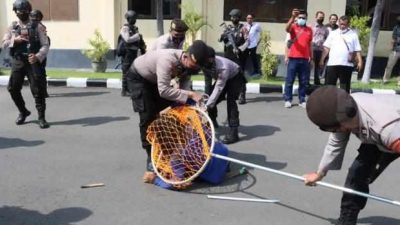 Pilkades Pasuruan. (Foto: Polres Pasuruan/Tugu Jatim)