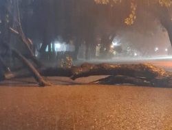 Pohon Tumbang dan Banjir Tutup Akses Jalan Pasuruan Menuju Malang