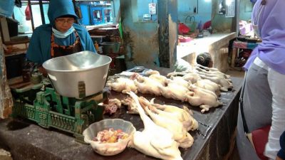 Mutomimah, pedagang daging ayam di Pasar Kota Bojonegoro.