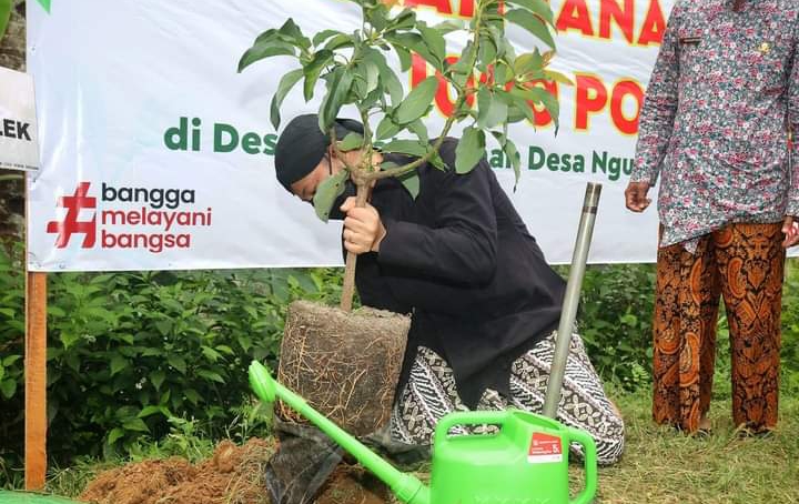 Mochamad Nur Arifin sedang melakukan penanaman Buah, Kamis (10/02/2022).