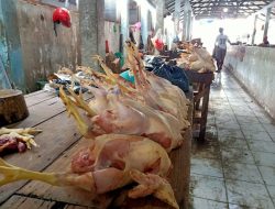 Harga Daging Ayam di Bojonegoro Merangkak Naik, Ayam Potong Capai Rp 40 Ribu