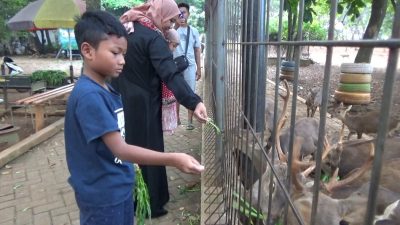 Sejumlah anak sedang asyik ngabuburit di Taman Kapur memberikan makan kawanan rusa.