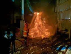 Kebakaran Pabrik Kayu di Pasuruan, Pemilik Rugi Puluhan Juta Rupiah