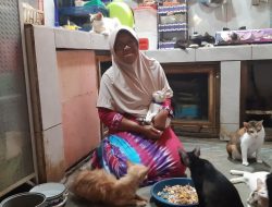 Sri Swastiyanti M., Pejuang Kucing Difabel dan Telantar di Malang, Kocek Uang Pribadi hingga Pernah Diusir Tetangga