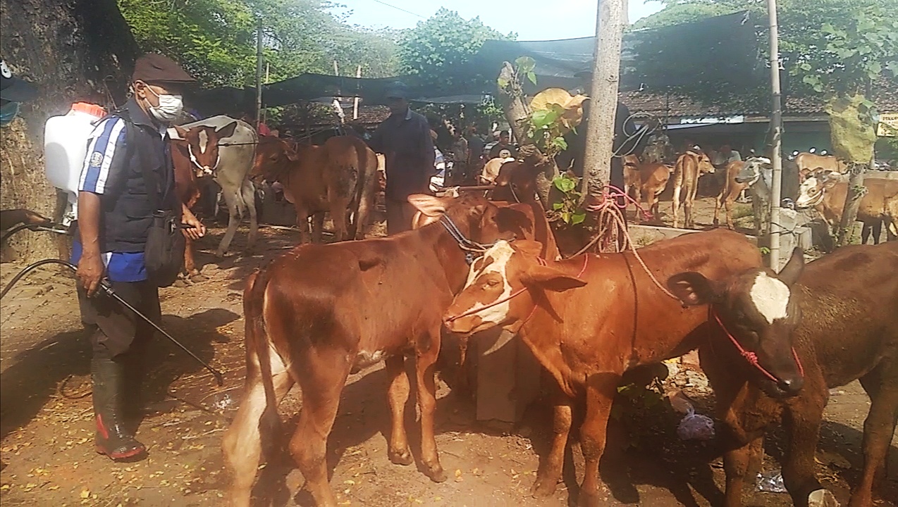 Ilustrasi upaya desinfeksi pasar sapi di desa Ranggeh, Kecamatan Gondangwetan, Kabupaten Pasuruan.