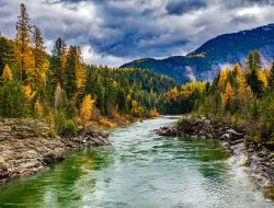 Sungai Aare Swiss yang Indah, Jadi Lokasi Tradisi Berenang yang Ditetapkan UNESCO