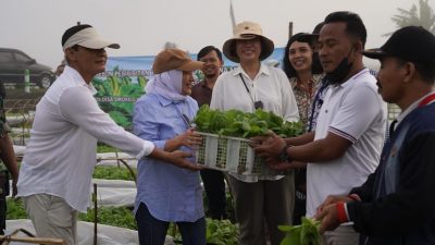 Bibit tembakau. (Foto: IG Bupati Bojonegoro Anna Muawanah/Tugu Jatim)