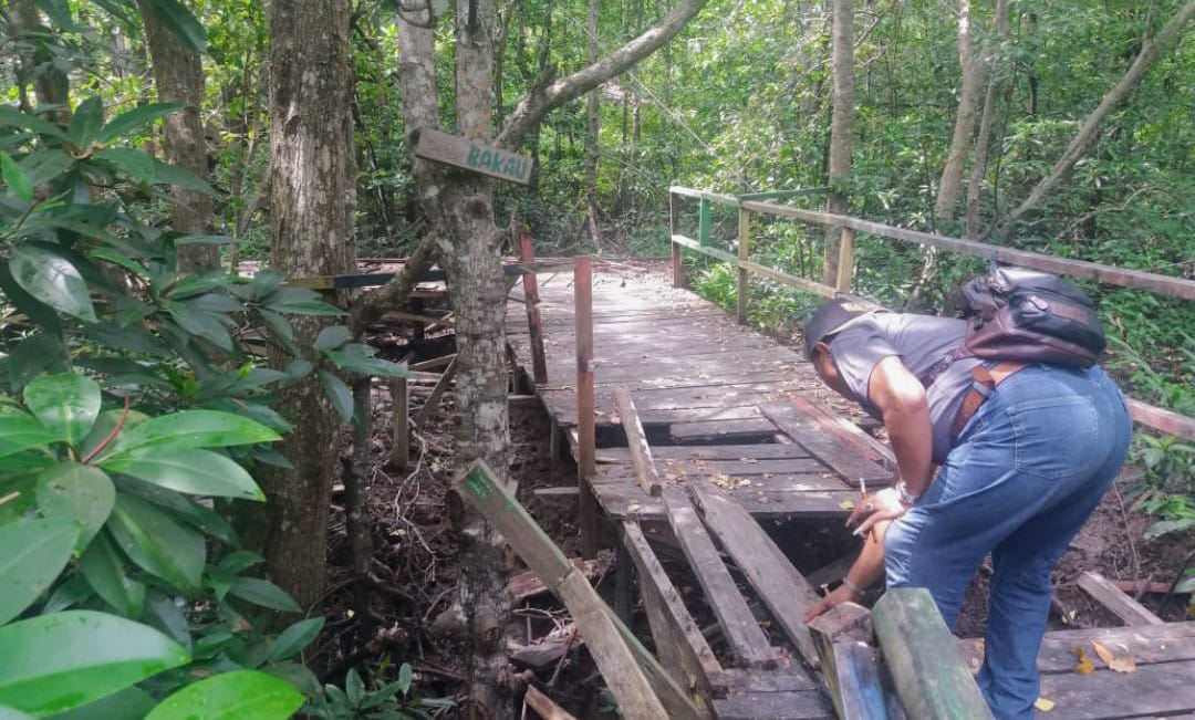 Ekowisata Hutan Mangrove.(Foto: Wahyu Jati/Yayasan Lawang Kalbu/Tugu Jatim)