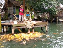 Kebun Sagu Pelang, Wisata di Tuban Sajikan Keindahan Alam hingga Terapi Ikan Hias Warna-warni
