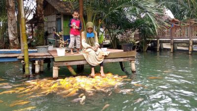 Kebun Sagu Pelang. (Foto: Mochamad Abdurrochim/Tugu Jatim)