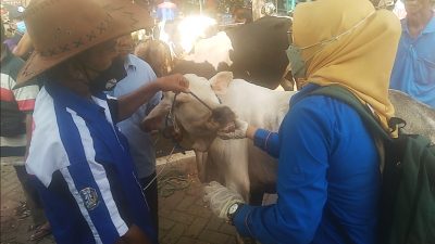 Dokter hewan. (Foto: Laoh Mahfud/Tugu Jatim)