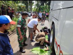 Kecelakaan Maut di Tikungan Srigonco Malang, 1 Pemuda Tewas Terlindas Bus usai Wisata ke Pantai Balekambang