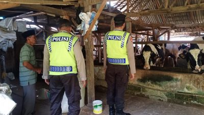 Penanganan wabah PMK yang kini meluas di Kota Batu turut dibantu oleh petugas Polres Batu dengan patroli dan monitoring di kandang-kandang sapi milik warga.