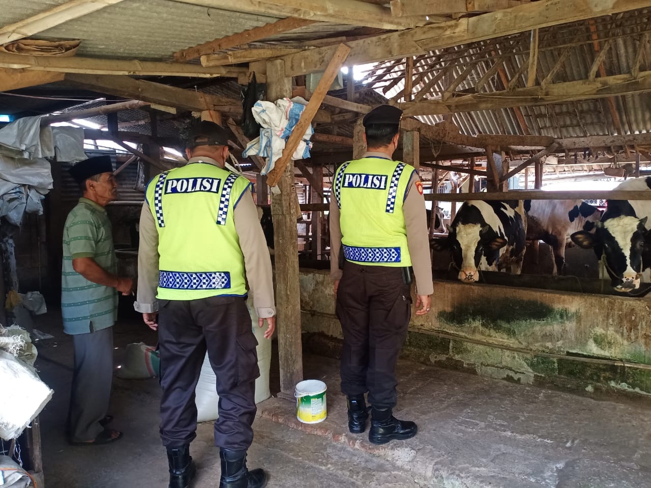 Penanganan wabah PMK yang kini meluas di Kota Batu turut dibantu oleh petugas Polres Batu dengan patroli dan monitoring di kandang-kandang sapi milik warga.
