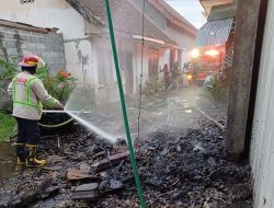 Gudang Telur di Malang Ludes Terbakar, Diduga Api Berasal dari Petasan