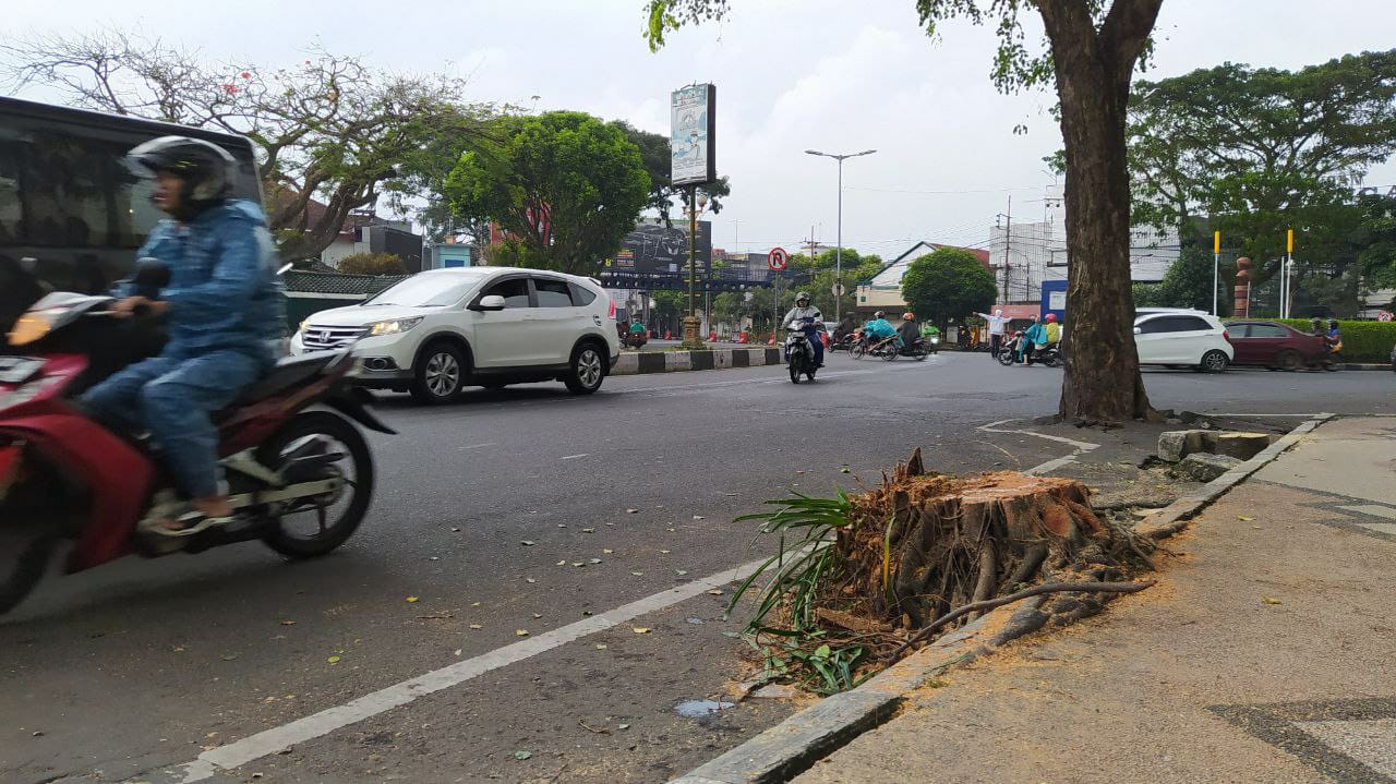 Penebangan pohon. (Foto: M. Ulul Azmy/Tugu Malang)