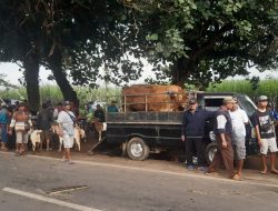 Pasar Hewan Kabupaten Malang Dipenuhi Pedagang, Minta Petugas Disiagakan di Pintu Masuk 