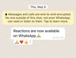 WhatsApp Rilis Fitur Baru Reactions, Begini Cara Memakainya