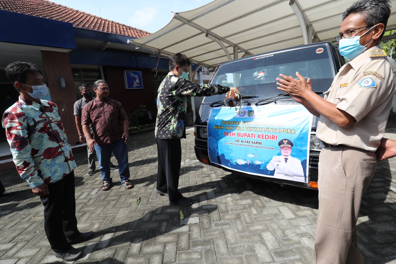 Pelepasan ekspor bibit ikan nila dari Kediri ke Singapura.