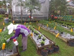 Urban Farming Ala Kota Malang, Solusi di Tengah Lonjakan Harga Pangan 