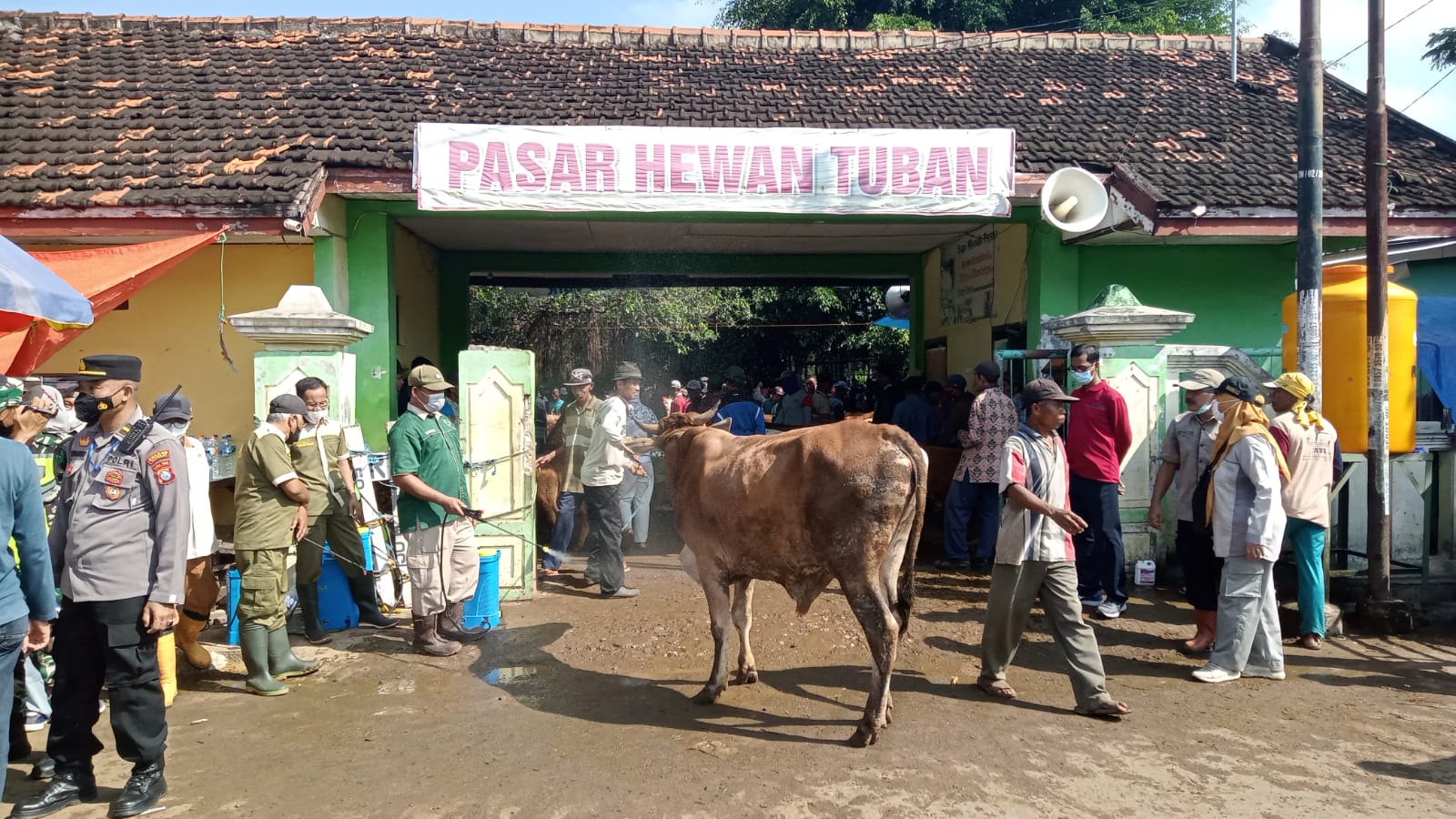 Pasar hewan. (Foto: Diskominfo/Tugu Jatim)