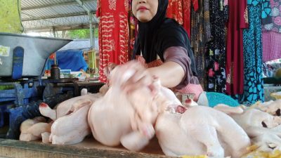 Suyatmi, pedagang daging ayam di Pasar Pramuka Tuban saat melayani pembeli.