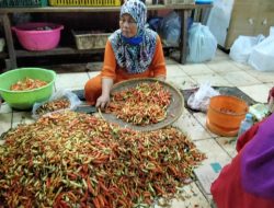 Harga Bumbu Dapur Terus Naik, Cabai Rawit di Surabaya Masih Dibanderol Rp110 Ribu Per Kilo