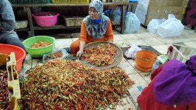 Harga Bumbu Dapur Terus Naik, Cabai Rawit di Surabaya Masih Dibanderol Rp110 Ribu Per Kilo