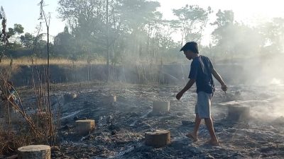 Kondisi kandang ayam milik Munatun (54) yang ludes terbakar di Dusun Krajan Dua, Desa Sudimulyo, Kecamatan Nguling, Kabupaten Pasuruan.