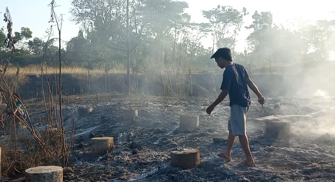 Kondisi kandang ayam milik Munatun (54) yang ludes terbakar di Dusun Krajan Dua, Desa Sudimulyo, Kecamatan Nguling, Kabupaten Pasuruan.