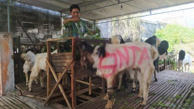 Penjual hewan kurban di Kota Batu, Jawa Timur.