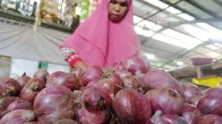 Bawang merah yang harganya semakin melangit hingga Rp 75 ribu per kilogram di Tuban.