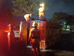 Sopir Ngantuk, Truk Fuso Pengangkut Ayam Terguling Tabrak Tiang Listrik di Surabaya
