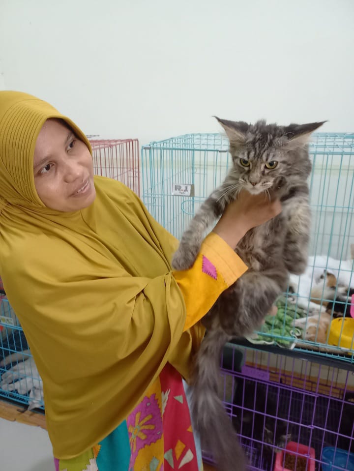 Nia Indriasari, owner Figoz Catteryn di dalam bilik khusus kucing di rumahnya.