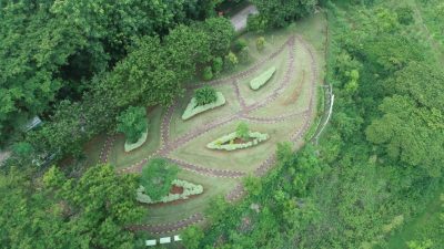 Arboritum bukit daun di area pasca tambang SIG Ghopo Tuban.