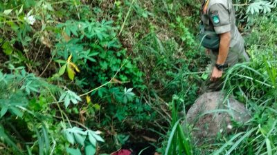 Penemuan mayat wanita.(Foto: warga/Tugu Jatim)