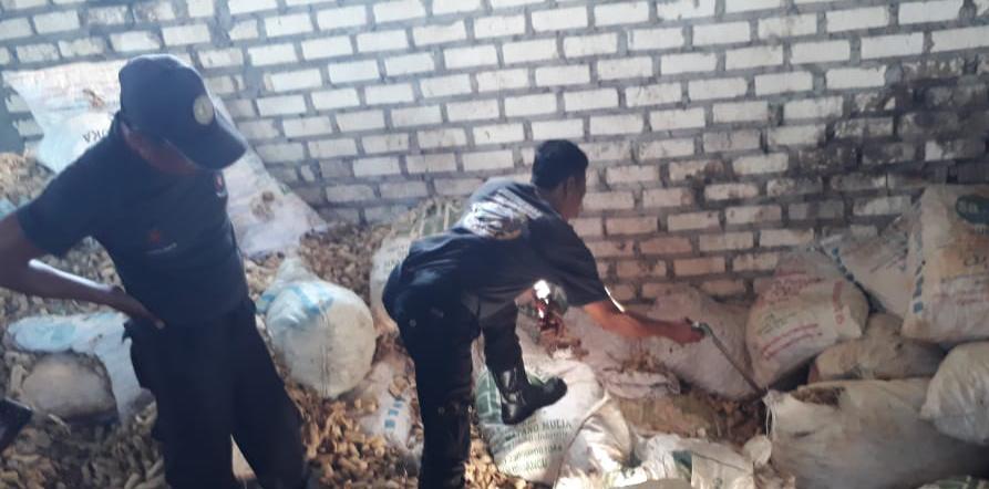 Mengerikan! Gudang Pabrik Tahu di Tuban Jadi Sarang Ular Piton 3 Gudang pabrik tahu. (Foto: Pemadam Kebakaran Tuban/Tugu Jatim)