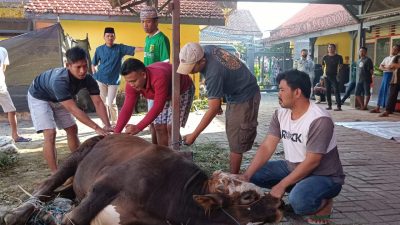 Hewan kurban. (Foto: Lapas Kelas IIB Tuban/Tugu Jatim)