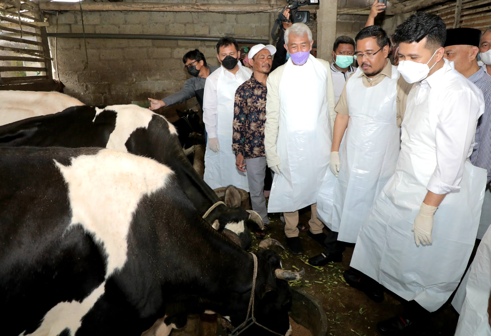 Plt Gubernur Jatim, Emil Dardak saat meninjau ternak sapi yang sakit milik warga di Kecamatan Tutur, Kabupaten Pasuruan.