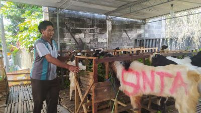 Hewan kurban. (Foto: M. Ulul Azmy/Tugu Malang)