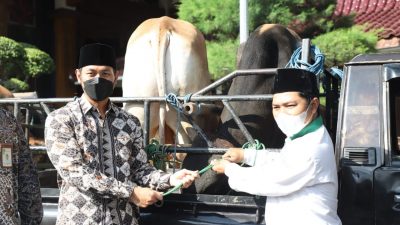 Bupati Tuban, Aditya Halindra Faridzky, secara simbolis menyerahkan hewan kurban ke perwakilan penerima.